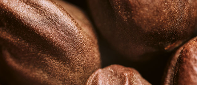 Jojoba