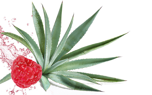 Agave e Lampone