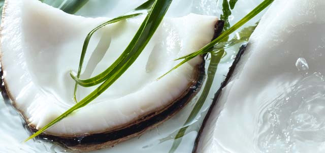 Cocco