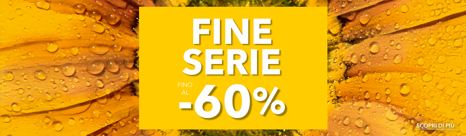 slider-editorial-desktop-flyer-fine-serie.