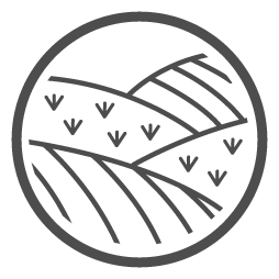 approvvigionamento sostenibile