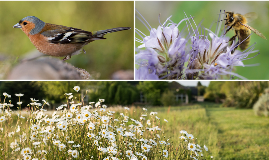 biodiversità