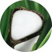 Seme bianco botanico
