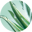 vegetale - hydra water plump