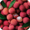 bollo-vegetale-litchi-fruttato-yves-rocher