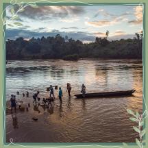 piantiamo-per-il-pianeta-madagascar