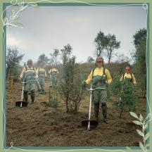 piantiamo-per-il-pianeta-portogallo
