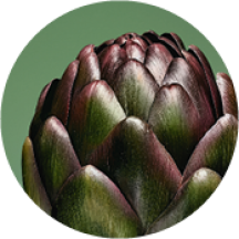 vegetale-riparazione-capelli-yves-rocher