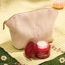 Set Lift Pro-Collagène