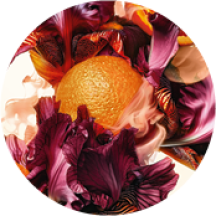 vegetale cofanetto bouquet ambré