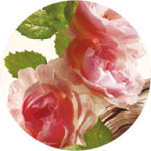 vegetale garden party 