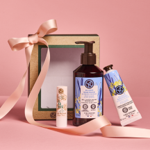 Set Mani e Labbra Alga Selvatica