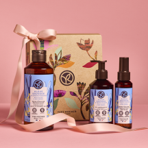 Set Coccola Profumata Alga Selvatica