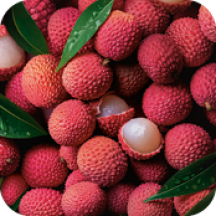 bollo-vegetale-litchi-fruttato-yves-rocher