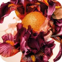vegetale-bouquet-ambre