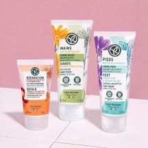 Set Routine Nutrizione