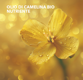 balsamo colorato nutriente_nude rose_vegetale