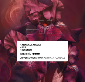 cofanetto bouquet ambree - note aromatiche