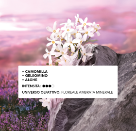 cofanetto sur la lande-note aromatiche