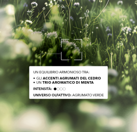 eau de toilette_aerienne_note aromatiche