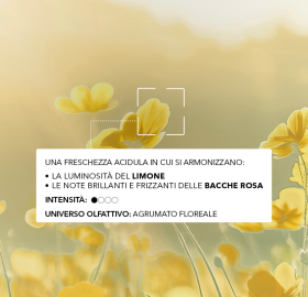 eau de toilette_petillante_note aromatiche