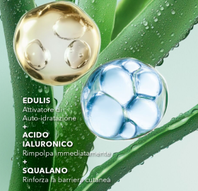 maschera idro rimpolpante hydra water plump - attivi botanici