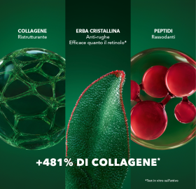 63967_Siero_Anti-Rughe_Rassodante_attivi_vegetali_yves_rocher