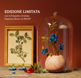 edizione-limitata-bosco-di-mirtilli-natale-2026-yves-rocher