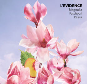 02466-cofanetto-l-evidence-vegetale