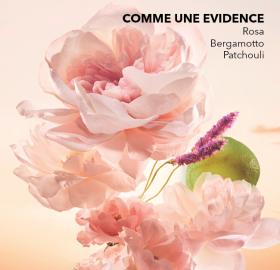 02671-cofanetto-comme-une-evidence-vegetale
