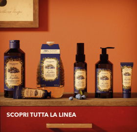 04232-kit-trio-scoperta-bosco-di-mirtilli-linea