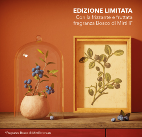 04232-kit-trio-scoperta-bosco-di-mirtilli-vegetale