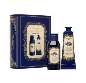 07045-kit-duo-scoperta-bosco-di-mirtilli-full
