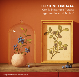 07045-kit-duo-scoperta-bosco-di-mirtilli-vegetale