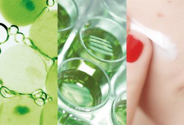 Assimilazione celluare