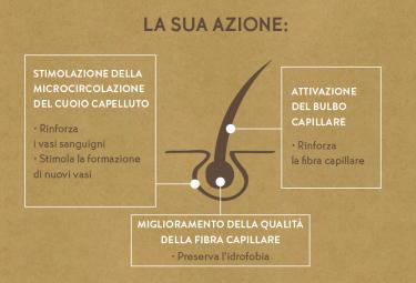 azione del vegetale