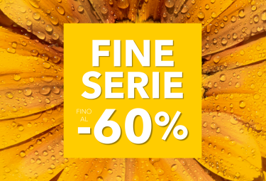 landing-promo-flyer-fine-serie