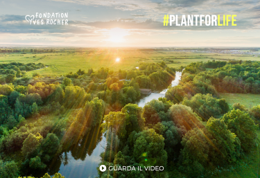 video-plant-for-live-mobile
