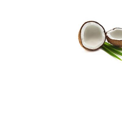 cocco
