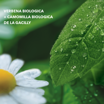 verbena + camomilla
