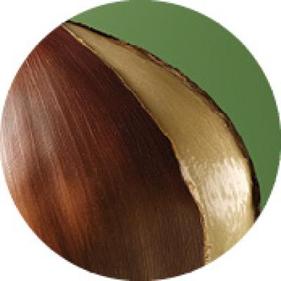 castagna