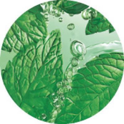 menta