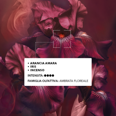 Eau de Parfum Bouquet Ambré