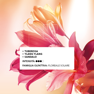 Eau de Parfum Plein Soleil