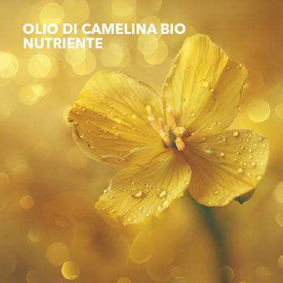 balsamo colorato nutriente_nude rose_vegetale