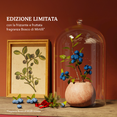 edizione-limitata-bosco-di-mirtilli-natale-2026-yves-rocher