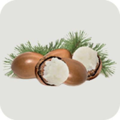 karite-marron-glace-natale