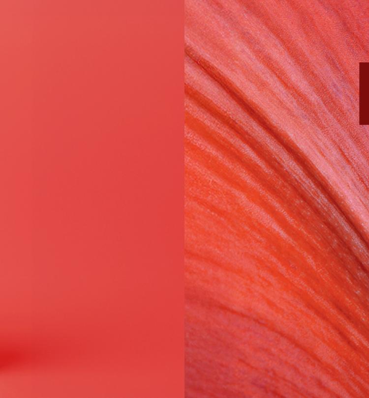 slider-editorial-desktop-beauty-days.