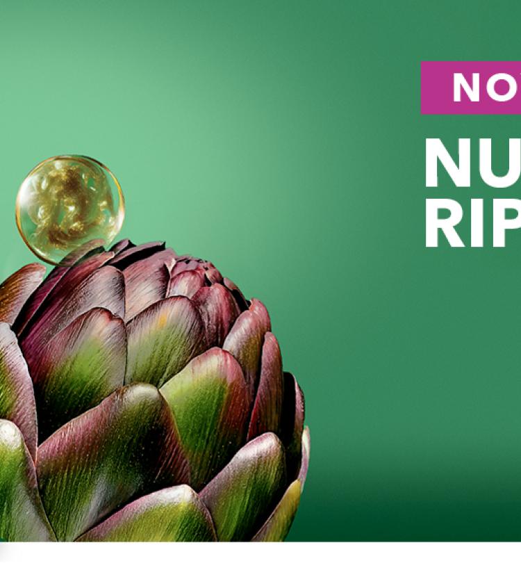 slider-editorial-desktop-riparazione