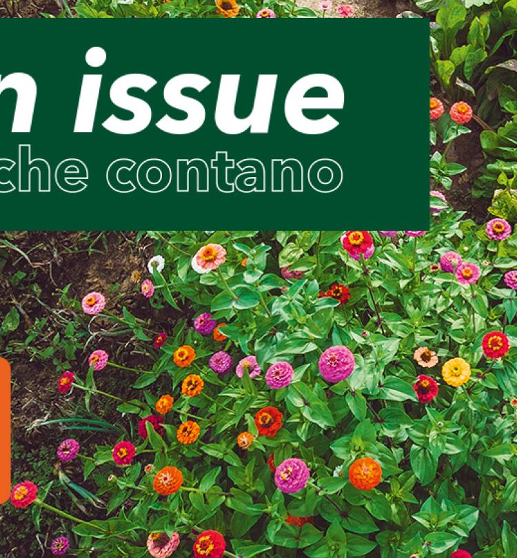Slider-editorial-desktop-flyer-committed